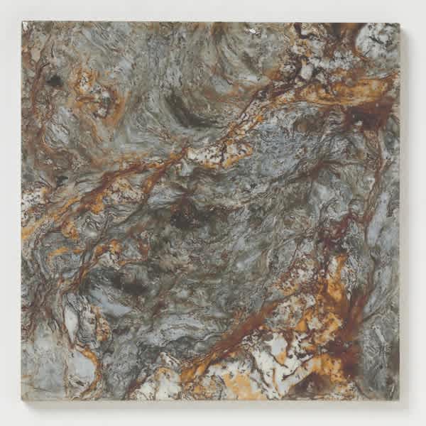 Pacific Barnacle Series