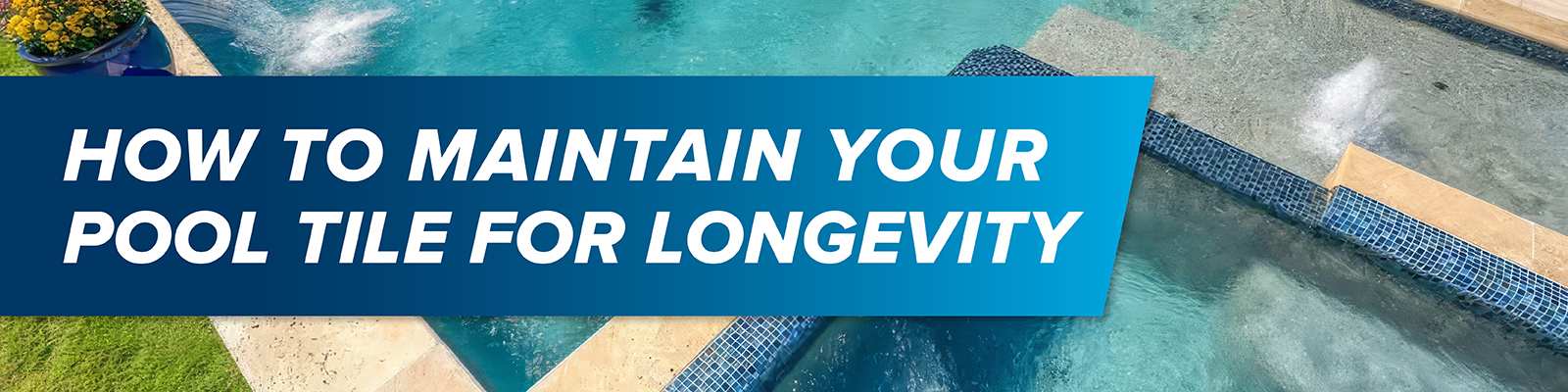 How to Maintain Your Pool Tile for Longevity